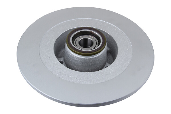 BRAKE DISC X1 WITH BRG REN LAG